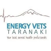 Energy Vets